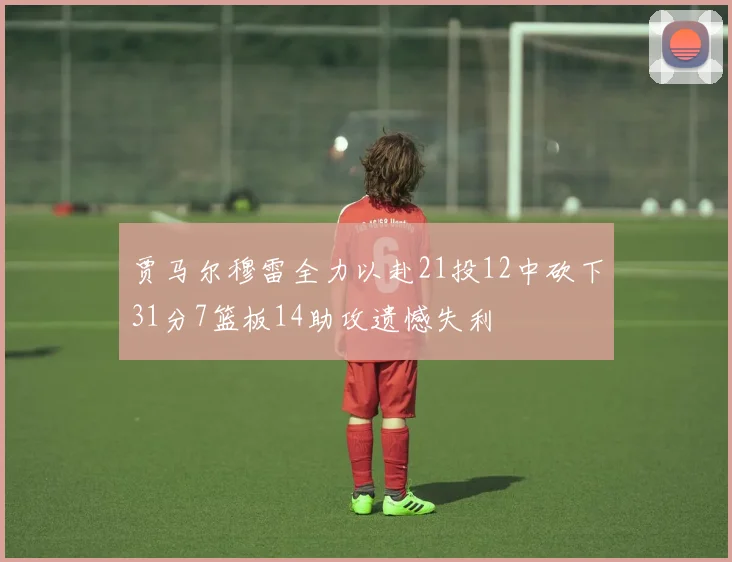 贾马尔穆雷全力以赴21投12中砍下31分7篮板14助攻遗憾失利