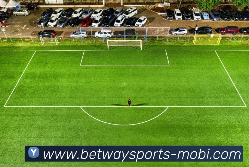 必威体育平台生态图