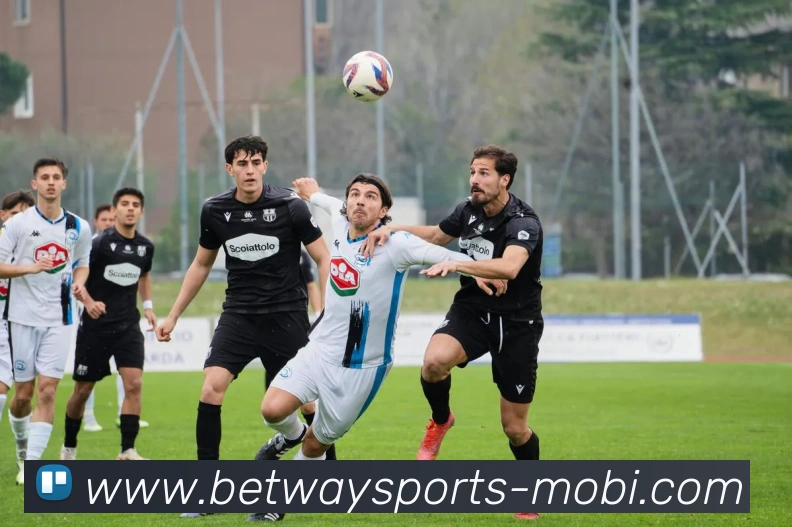 必威体育APP 封面图